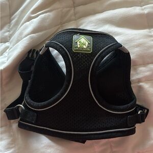 Black Mesh Dog Harness